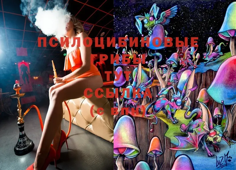 Псилоцибиновые грибы Psilocybine cubensis  Остров 